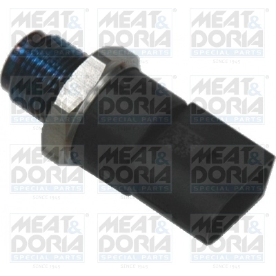 Sensor, fuel pressure
